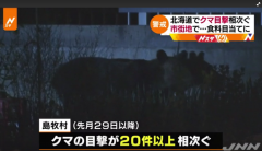 熊经常出没于北海道？当地狩猎协会：瞄准了村民垃