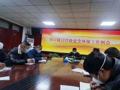 安徽太和县肖口镇召开安全环保工作会议