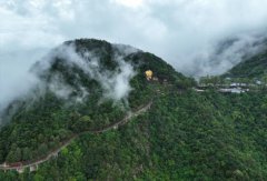 25年经营权争夺余波：观音山国家森林公园遭电力部门